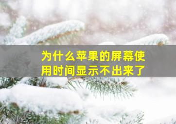 为什么苹果的屏幕使用时间显示不出来了