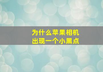 为什么苹果相机出现一个小黑点