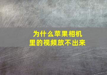 为什么苹果相机里的视频放不出来