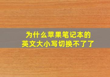 为什么苹果笔记本的英文大小写切换不了了