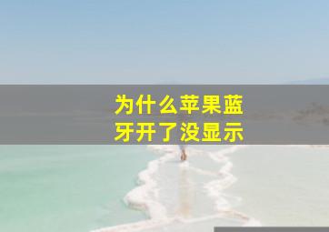 为什么苹果蓝牙开了没显示