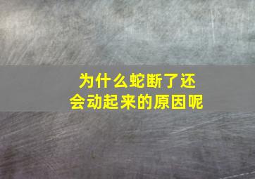 为什么蛇断了还会动起来的原因呢