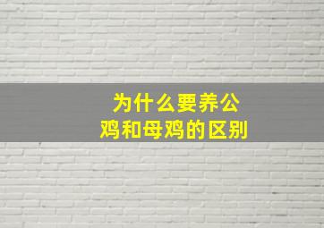 为什么要养公鸡和母鸡的区别