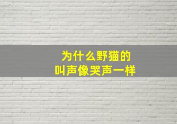 为什么野猫的叫声像哭声一样