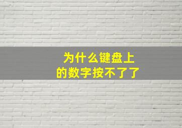 为什么键盘上的数字按不了了