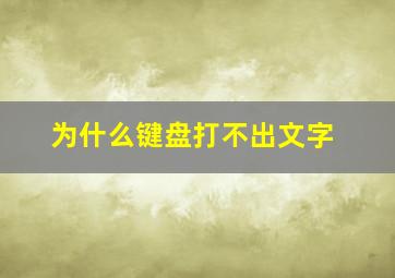 为什么键盘打不出文字