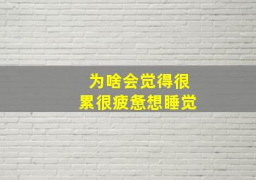 为啥会觉得很累很疲惫想睡觉