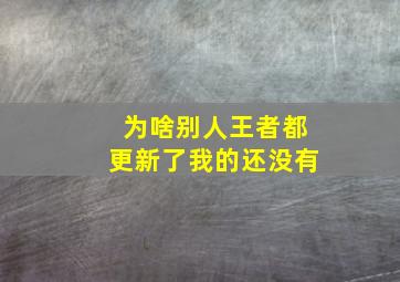 为啥别人王者都更新了我的还没有