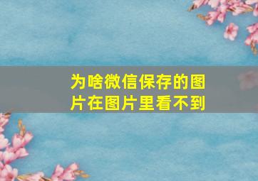 为啥微信保存的图片在图片里看不到