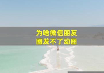 为啥微信朋友圈发不了动图