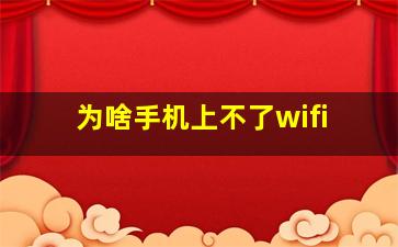 为啥手机上不了wifi