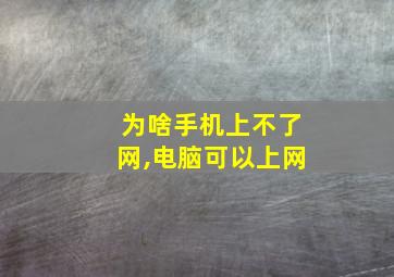 为啥手机上不了网,电脑可以上网