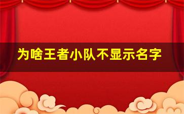 为啥王者小队不显示名字