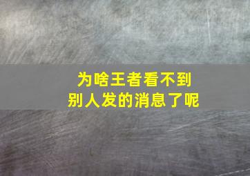 为啥王者看不到别人发的消息了呢