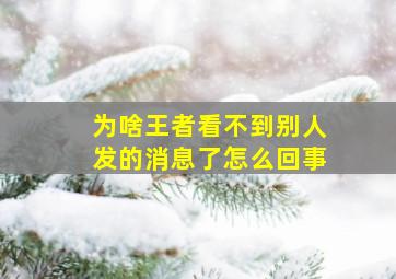 为啥王者看不到别人发的消息了怎么回事