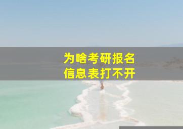 为啥考研报名信息表打不开