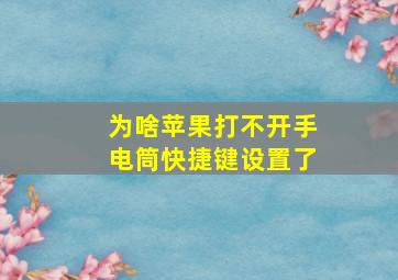 为啥苹果打不开手电筒快捷键设置了