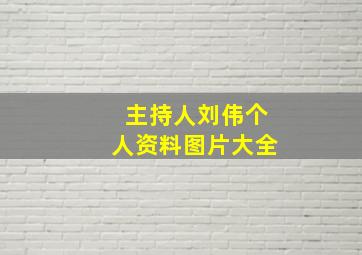 主持人刘伟个人资料图片大全