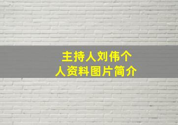 主持人刘伟个人资料图片简介