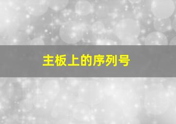 主板上的序列号