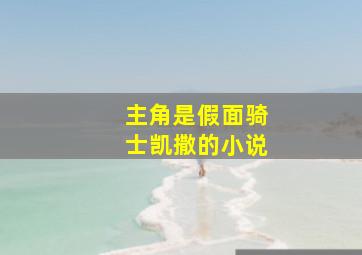 主角是假面骑士凯撒的小说