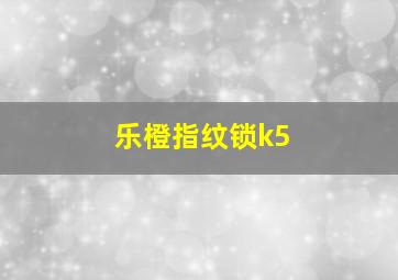 乐橙指纹锁k5