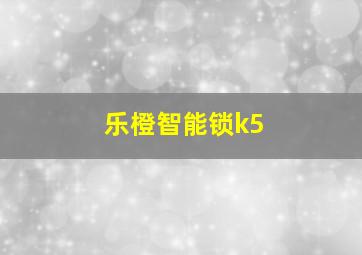 乐橙智能锁k5