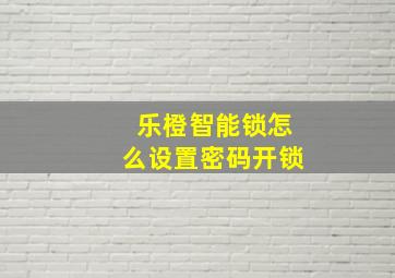 乐橙智能锁怎么设置密码开锁