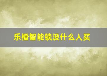 乐橙智能锁没什么人买