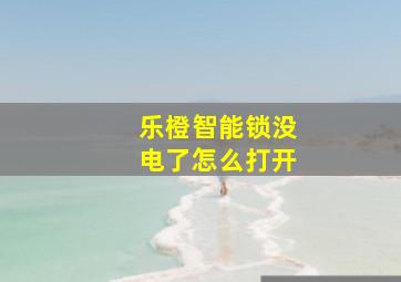 乐橙智能锁没电了怎么打开