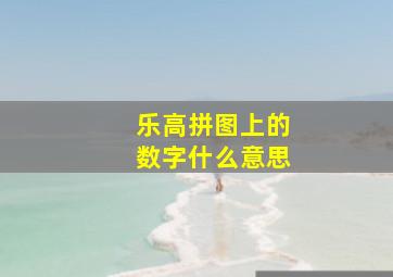 乐高拼图上的数字什么意思