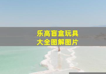 乐高盲盒玩具大全图解图片