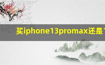 买iphone13promax还是13pro