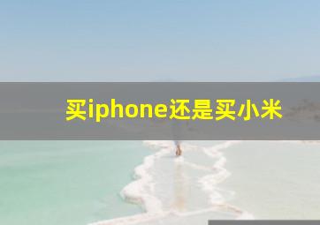 买iphone还是买小米