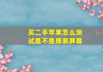 买二手苹果怎么测试是不是原装屏幕