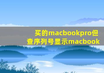 买的macbookpro但查序列号显示macbook