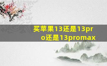 买苹果13还是13pro还是13promax