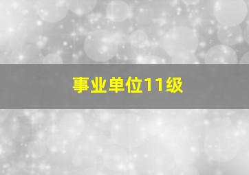 事业单位11级