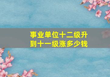 事业单位十二级升到十一级涨多少钱