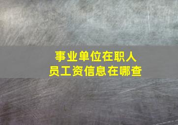 事业单位在职人员工资信息在哪查