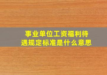 事业单位工资福利待遇规定标准是什么意思