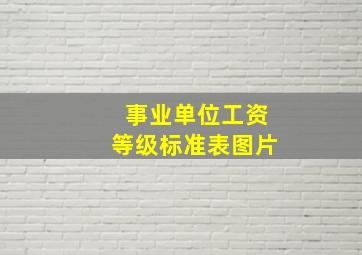 事业单位工资等级标准表图片