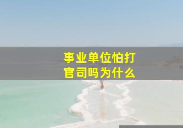 事业单位怕打官司吗为什么