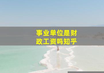 事业单位是财政工资吗知乎