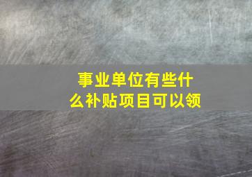 事业单位有些什么补贴项目可以领