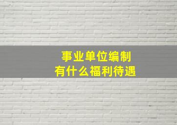 事业单位编制有什么福利待遇