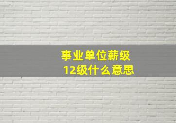 事业单位薪级12级什么意思