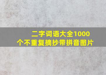 二字词语大全1000个不重复摘抄带拼音图片