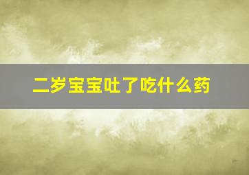 二岁宝宝吐了吃什么药