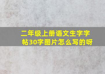 二年级上册语文生字字帖30字图片怎么写的呀